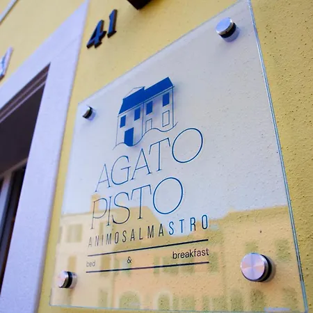 Agatopisto Animo Salmastro