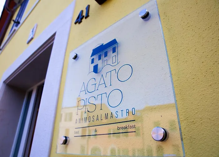 Agatopisto Animo Salmastro