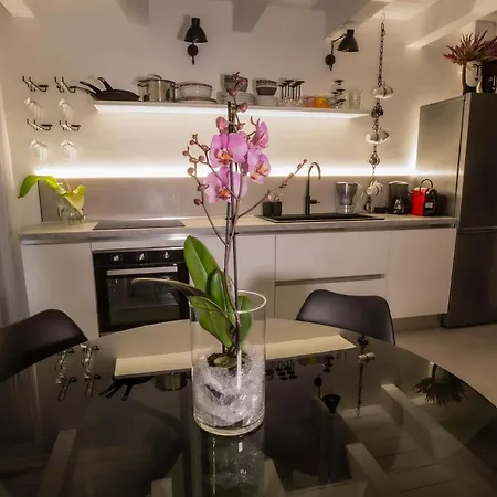 Agatopisto Animo Salmastro Комаккьо