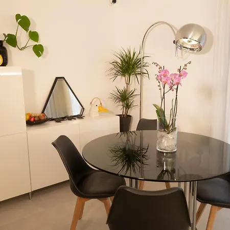 Agatopisto Animo Salmastro Oda ve Kahvaltı