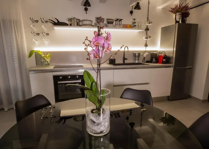 Agatopisto Animo Salmastro Comacchio